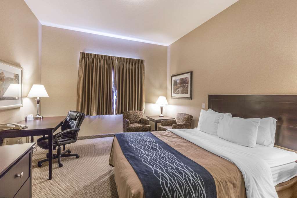 Comfort Inn & Suites Red Deer Rum bild